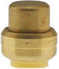 1/2 IN PUSH FIT CAP