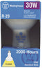 30W R20 FLOOD LAMP